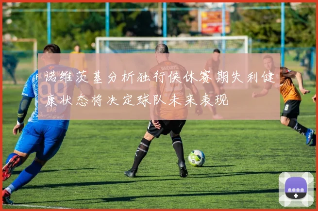 诺维茨基分析独行侠休赛期失利健康状态将决定球队未来表现