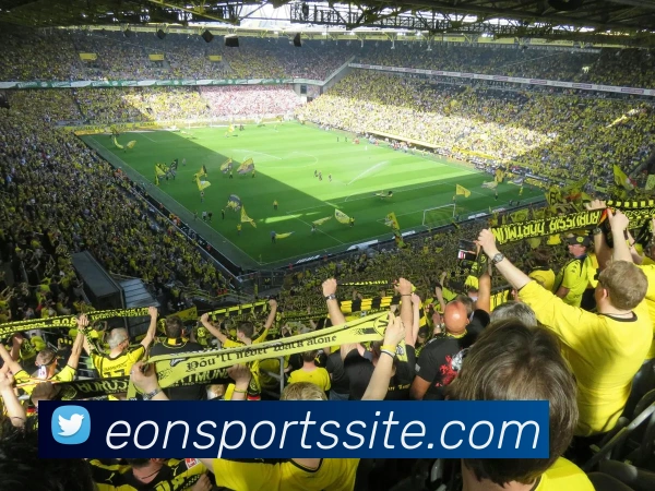 意昂体育平台生态图